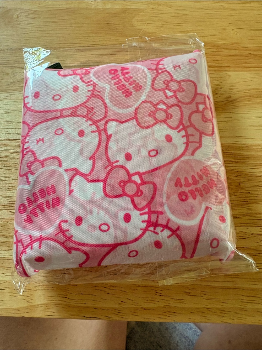 Sanrio Hello Kitty Pink and Light Pink Zip Pouch